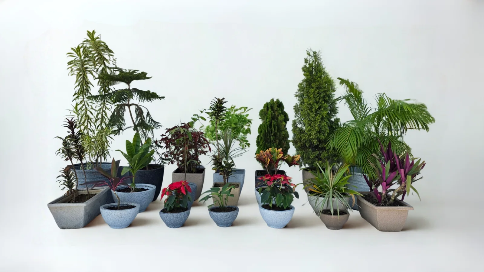 Vasos de diferentes formatos, texturas e tamanhos com plantas